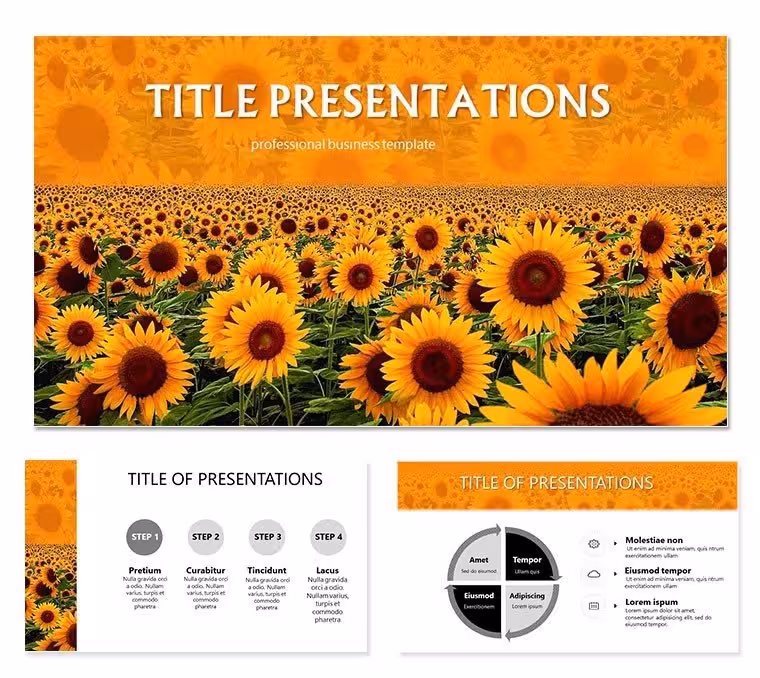 Sunflower Keynote templates