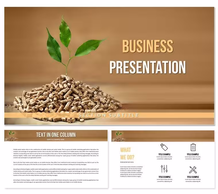 Energy From Biomass and Waste Keynote Templates