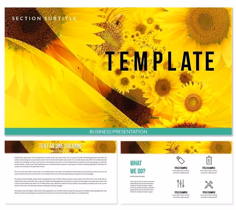 Sunflower Plant Keynote Templates - Themes