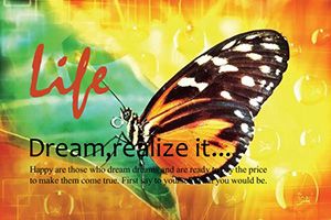 Rare Butterfly Postcard: Template Design for Print and Download