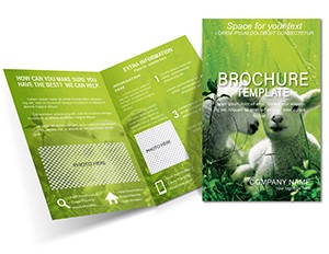 Lamb on Pasture Brochure templates