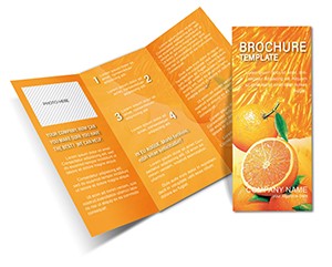 Useful Properties of Apelsin Brochure Templates