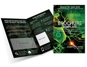 Nerve Connection Brochure templates