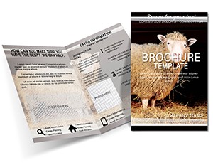 Sheep in Corral Brochure template