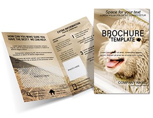 Agriculture : Sheep Breeding Brochure Templates