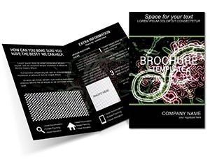 Ebola Symptoms Brochure templates