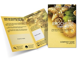 Decorate for Christmas and New Year Brochures templates