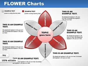 Flower Keynote Charts Template for Presentation