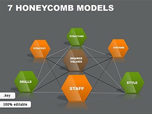 7 Honeycomb Models Keynote charts
