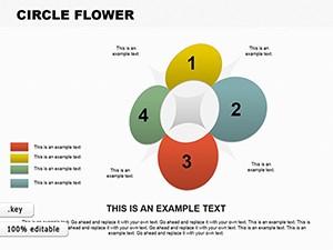 Circle Flower Keynote charts