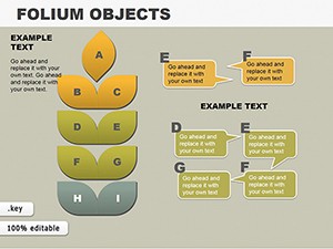 SWAP Folium Objects Keynote Charts Template - Download