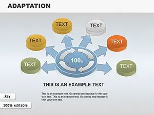 Adaptation Keynote Charts