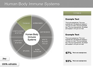 Human Body Immune Systems Keynote charts