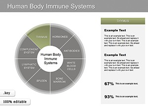 Human Anatomy Immune Systems Keynote Charts - Download Diagrams Template