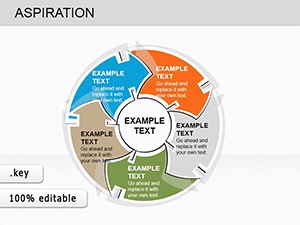 Cycle Aspiration Keynote charts