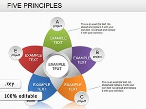 5 Principles Keynote charts
