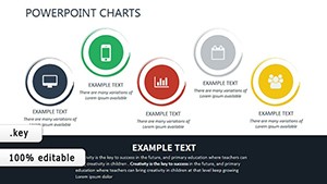 Decision Support System Keynote charts templates
