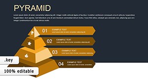 Infographics Keynote Charts