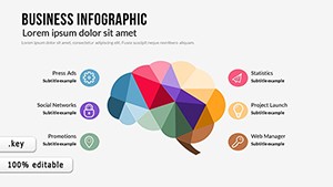 Business Infographic Keynote charts