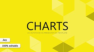 Analytical Accounting Keynote charts