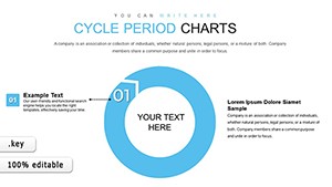 Collection Periods Cycle Keynote Charts | Download Now