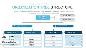 Organization Tree Keynote Charts Template: Presentation