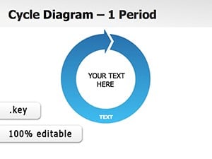 Life Cycles Keynote diagrams