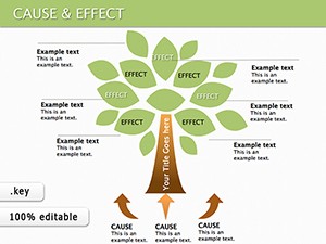 Cause and Effect Keynote Diagrams for Presentation