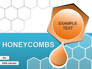 HoneyCombs Keynote diagrams templates