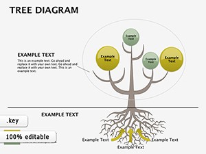 Presentations with Tree Analysis Keynote Diagrams