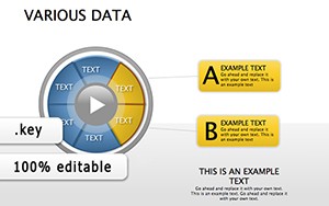 Various Data Keynote diagrams