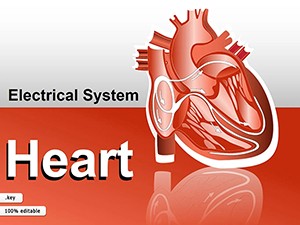 System Heart Keynote Shapes Template - Download Now!