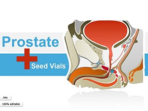 Prostate Keynote shapes