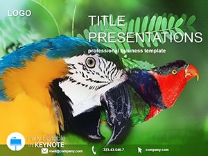 Cockatoo Parrot Keynote templates