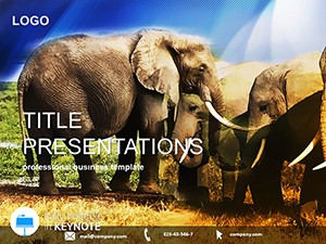 Elephant Species Keynote templates