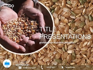 Grain Harvest Keynote templates
