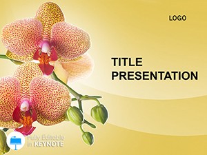 Gift Flowers Keynote Themes