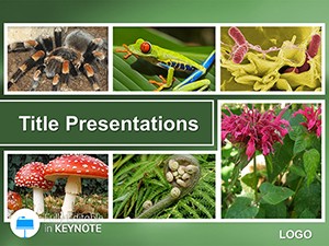 Botany Keynote template and Themes