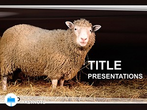 Sheep in Corral Keynote Themes