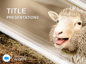 Sheep Breeding Keynote template and Themes