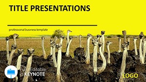 Ostrich farm Keynote templates