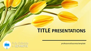 Woman day Keynote templates