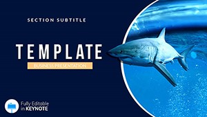 Dangerous Animals: Sea World Keynote Presentation Templates