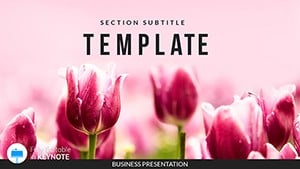 Tulips Keynote templates