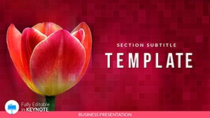 Tulip Bulbs for Sale Keynote templates