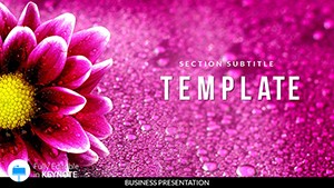 Flower Delivery Keynote templates Presentation