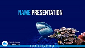 Shark Keynote Templates - Themes