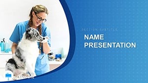 Treatment Of Animals In Veterinary Clinic Keynote Template