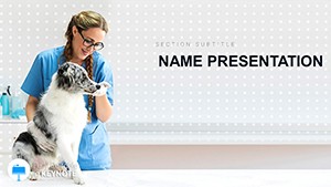 Dog Disease and Veterinarian Keynote Template for Presentation