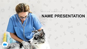 Pet Vet Doctor Keynote Template - Themes